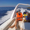 Alamar Euphoria 670 - Image 9